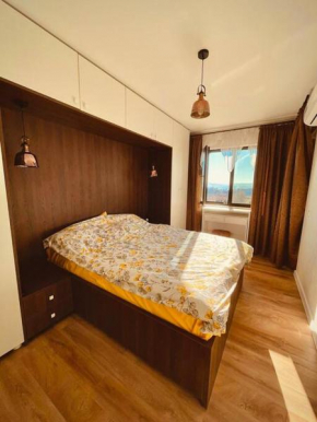 Iri’s Condo - Cozy luxurious apartment near oustanding area Iasi